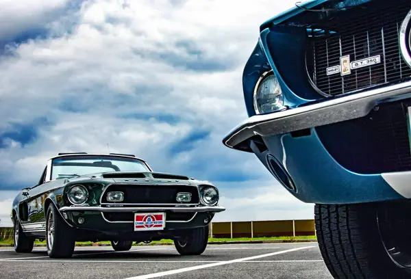 Forsmustang Mustang Mustang — Stockfoto
