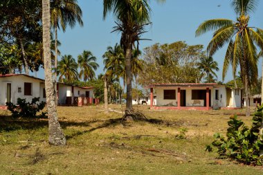 Karayipler 'in kırsal kesimlerinde tipik bir manzara