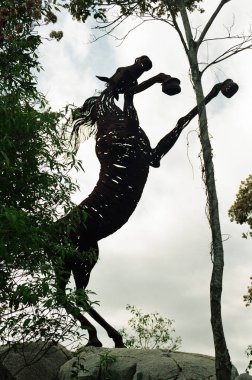 Arka planda güzel bir at heykeli, kapatın.