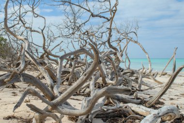 Karayip Denizi, Tulum, Meksika