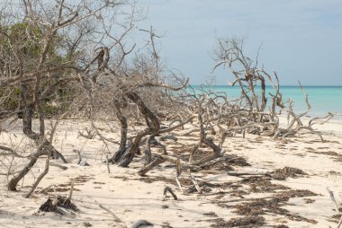 Deniz kıyısının güzel manzarası