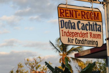 Sahildeki bir palmiye ağacında bir işaret.