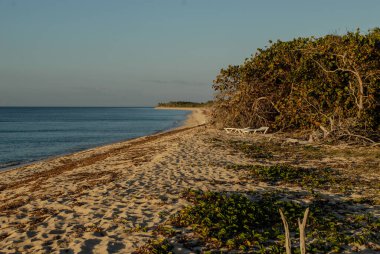 Mopar kaslı araba meydan okumaktan kurtuldu.