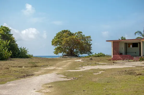 Une Petite Maison Dans Jungle Mer Des Caraïbes Cuba — Photo