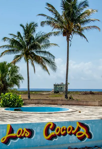 Puerto Rico Playa Con Palmeras — Foto de Stock