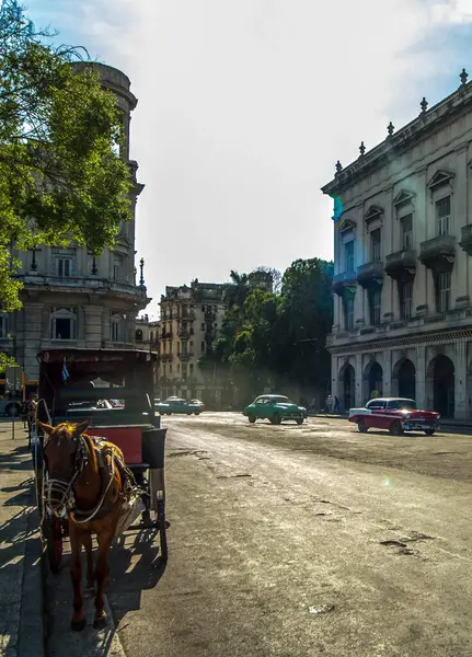Pferd Und Kutsche Rom — Stockfoto