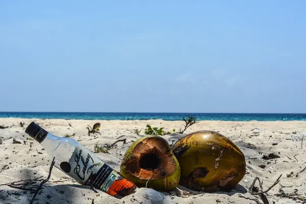 一瓶带有椰子的热带饮料 — 图库照片