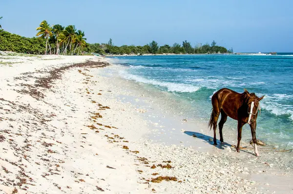 Schöner Strand Mit Tropischem Sand — Stockfoto
