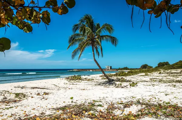 Playa Del Mar Caribe República Dominicana — Foto de Stock