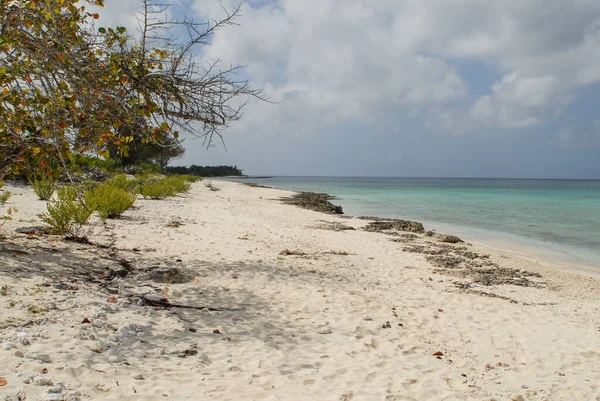 美丽的加勒比海滨海滩 库拉索岛 库拉索岛 — 图库照片