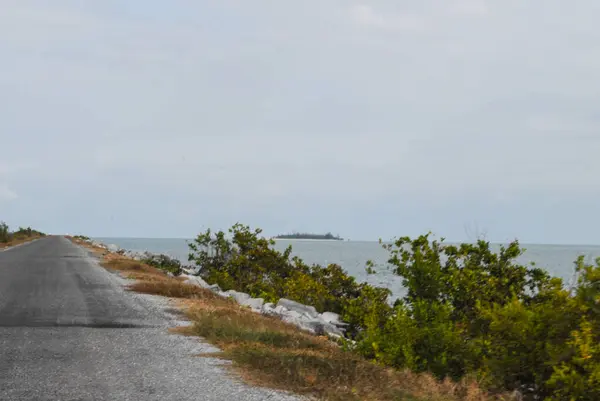 Deniz ve yol manzarası