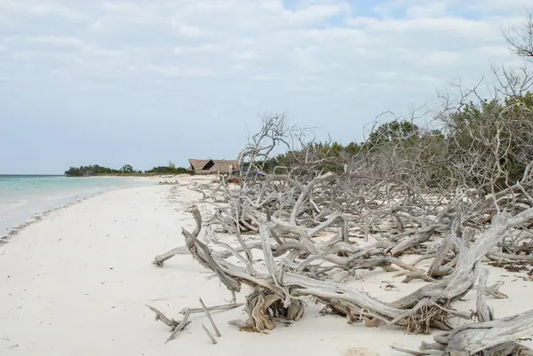 Пляж Белым Песком Острове Занзибар — стоковое фото