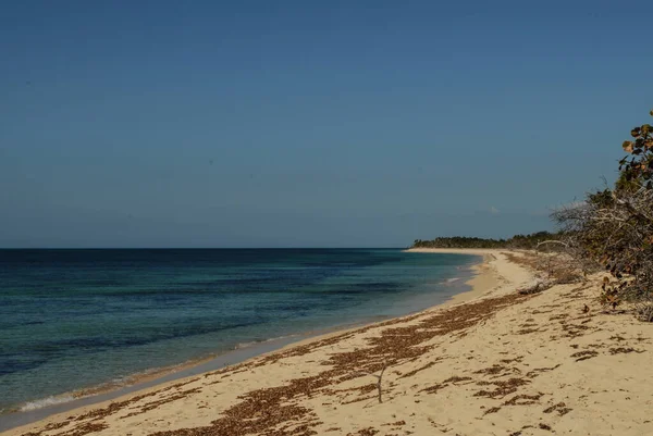 Isla Tropical Con Playa — Foto de Stock