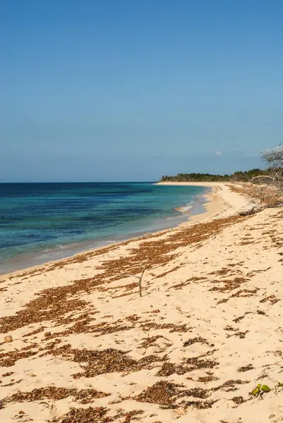 多明尼加共和国的加勒比海岸 — 图库照片