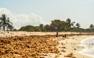 Güzel deniz kumsalı, beyaz kum ve bulutlu mavi gökyüzü..