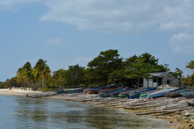 Karayipler 'de deniz ve sahil