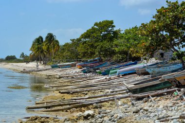 caribbean tropikal plaj
