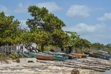Curacao adasının Karayip deniz kıyıları