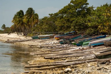 tekne tropikal Beach