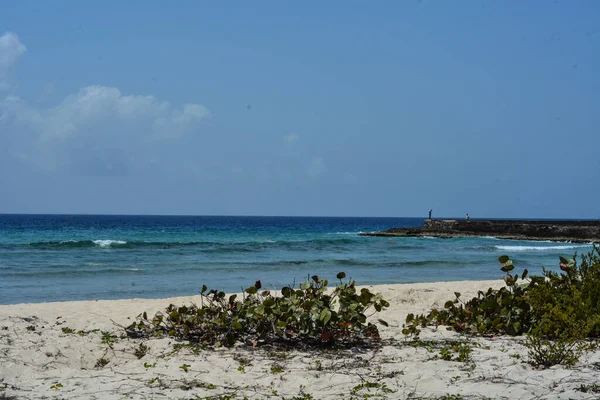 Playa Mar Caribe — Foto de Stock