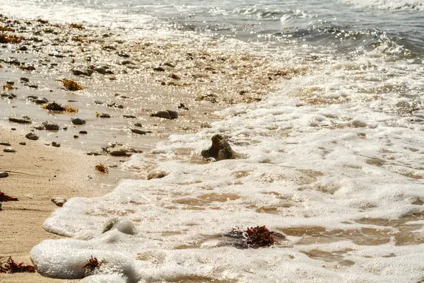 Морські Хвилі Піна Пляжі — стокове фото