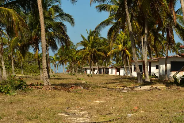 Caribbean beach, Dominik Cumhuriyeti