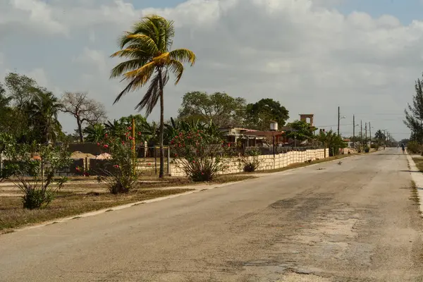 tipik kırsal alan ve Küba manzarası.