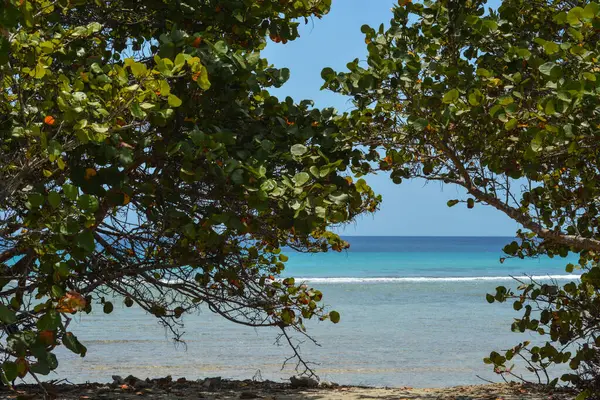 你可以看到加勒比海的库拉索岛 安眠药 加勒比海边 加勒比海边 — 图库照片
