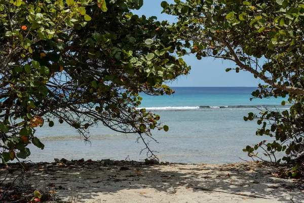 加勒比海 加勒比海 库拉索岛 加勒比海岸 — 图库照片