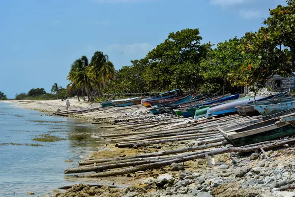 Tropik bir sahilde balıkçı tekneleri