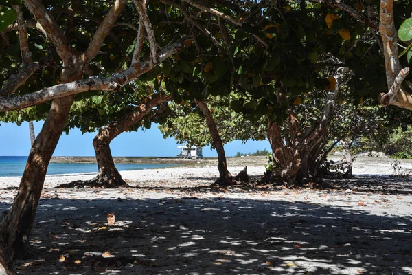 库巴共和国的加勒比海边海滩 — 图库照片