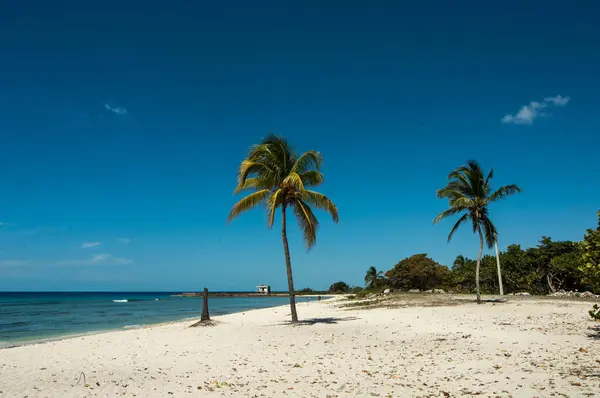 Karayip sahilinin güzel manzarası