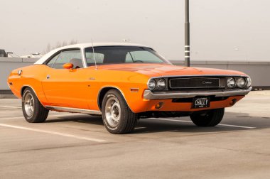 Ford Mustang Mustang sergileniyor