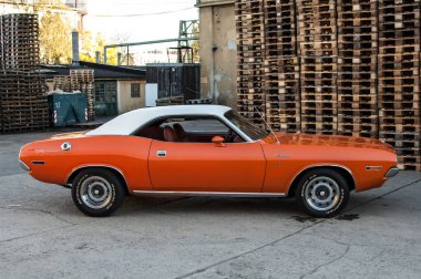 Güçlü araba Dodge Challanger 1970