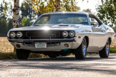 Güçlü araba Dodge Challanger 1970