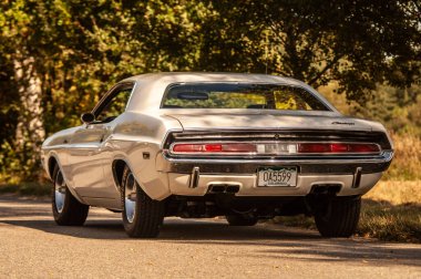 Güçlü araba Dodge Challanger 1970