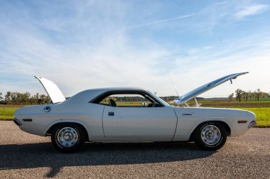 195. Ford Mustang Mustang arabası