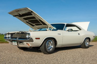 1876 Ford Chevrolet sergileniyor.