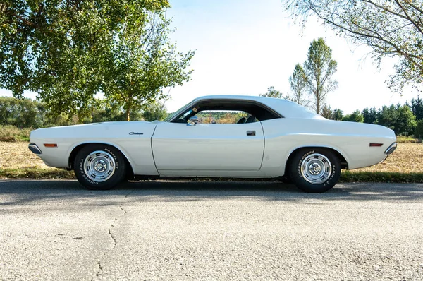 Güçlü araba Dodge Challanger 1970