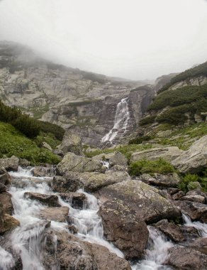 Carra 'daki Karpat Dağları' ndaki güzel dağ nehri