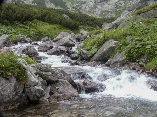 Górski Potok Alpach Austria — Zdjęcie stockowe