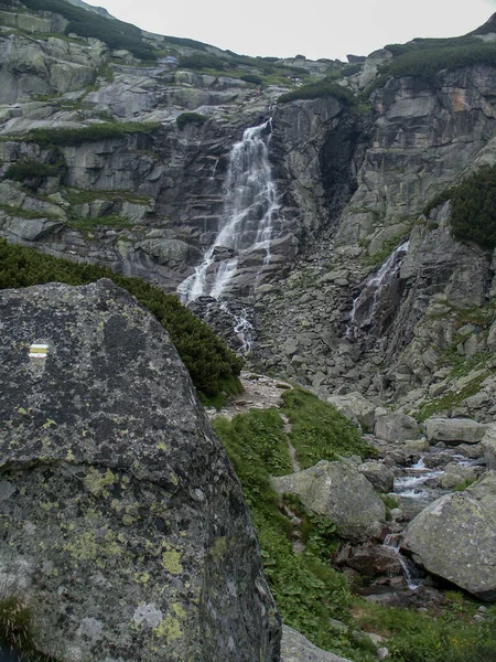 Plan Vertical Rivière Montagne Dans Les Montagnes Des Carpates — Photo