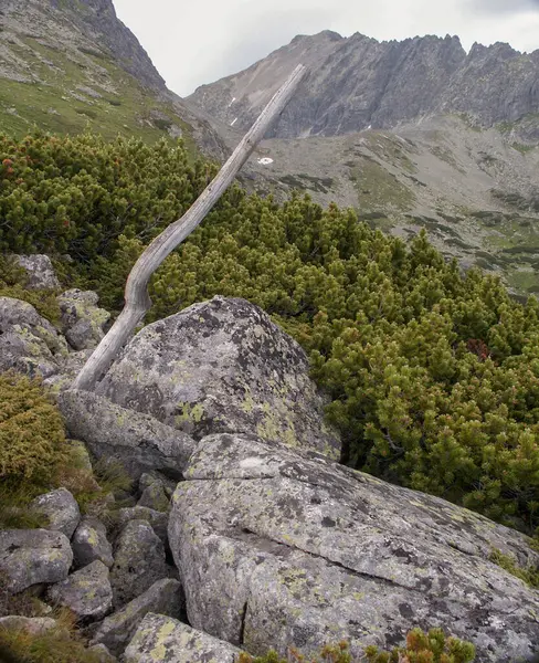 Túraútvonal Tatra Hegységben Lengyelország — Stock Fotó