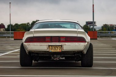 19. Geleneksel Chevrolet Mustang Mustang