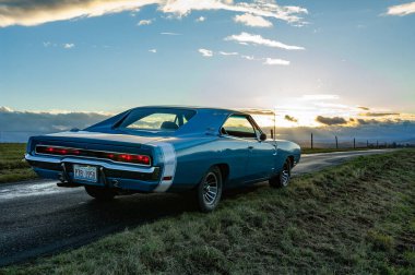 Mavi araba yol kenarına park edilmiş..