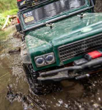 Ormanda araba gezintisi