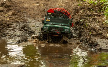 Ormanda araba gezintisi