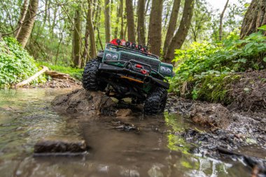 Ormanda araba gezintisi