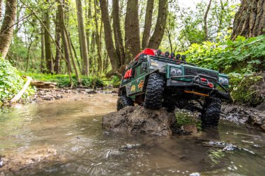 Ormanda araba gezintisi