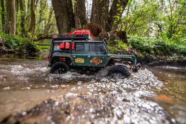 Ormanda araba gezintisi